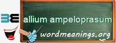 WordMeaning blackboard for allium ampeloprasum